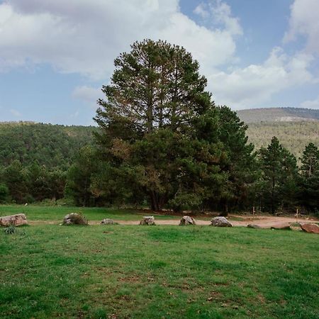 Cotanda - Casa De Montana Aislada En El Macizo Del Penyagolosa Puertomingalvo Exterior foto